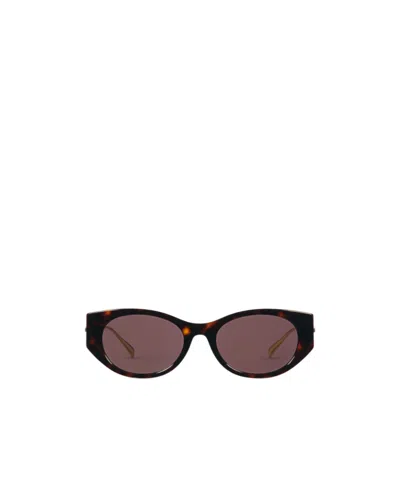 Gucci Full Frame Sunglasses In Brown