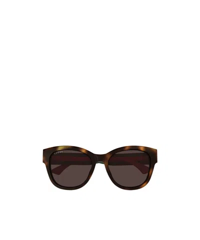 Gucci Full Frame Sunglasses In Brown
