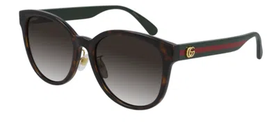 Pre-owned Gucci Gg 0854sk 003 Havana Green/brown Gradient Women's Sunglasses