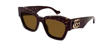 Pre-owned Gucci Gg 1422s 003 Havana/brown Cat Eye Women's Sunglasses