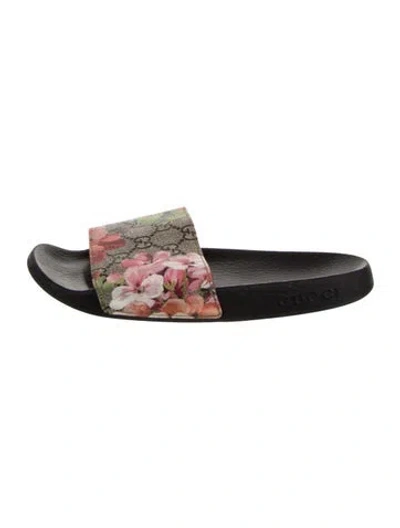 Pre-owned Gucci Gg Blooms Slides Gg Supreme Slides In Neutral