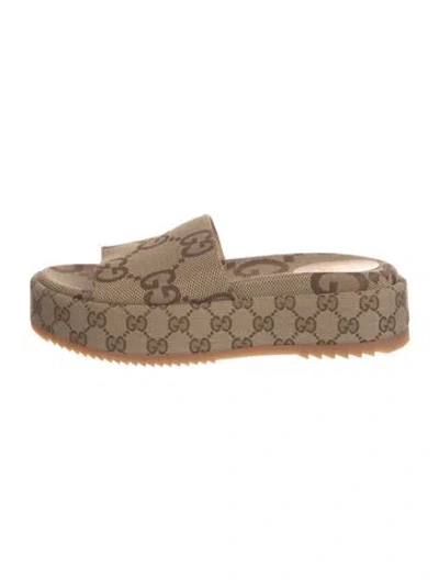 Pre-owned Gucci Gg Canvas Canvas Espadrilles W/ Tags In Brown