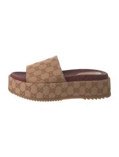 Pre-owned Gucci Gg Canvas Canvas Slides In Brown
