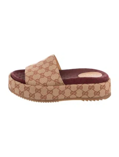 Pre-owned Gucci Gg Canvas Canvas Slides In Brown