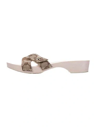 Pre-owned Gucci Gg Canvas Canvas Slides In Neutrals