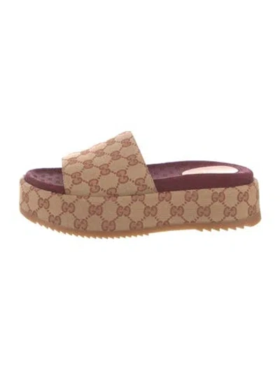 Pre-owned Gucci Gg Canvas Canvas Slides In Neutrals