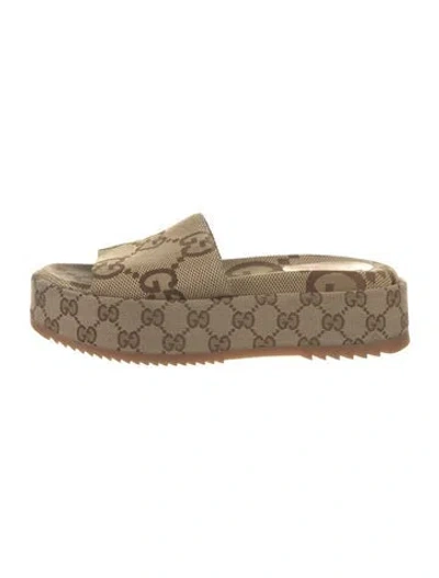 Pre-owned Gucci Gg Canvas Canvas Slides In Neutrals