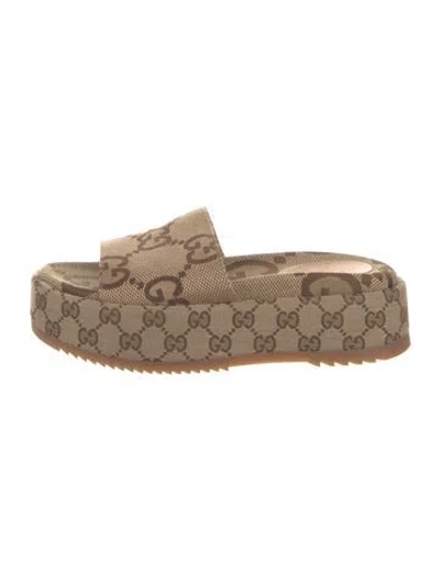 Pre-owned Gucci Gg Canvas Canvas Slides In Neutrals