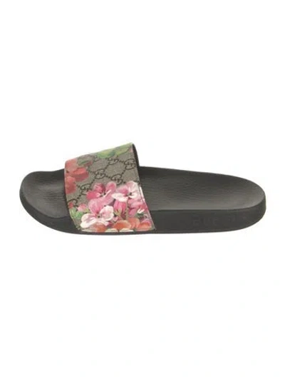 Pre-owned Gucci Gg Canvas Slides In Multi