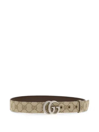 Gucci Gg Marmont Belt In Brown