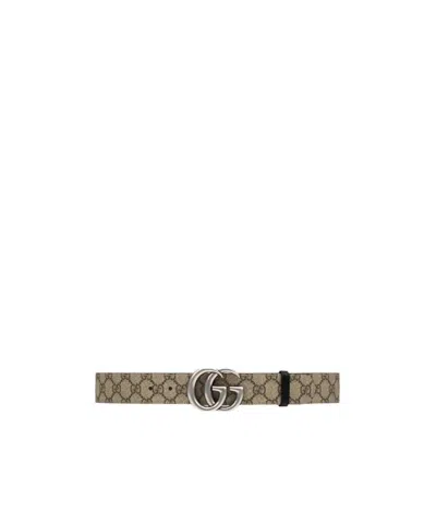 Gucci Gg Marmont Belt In Multicolor