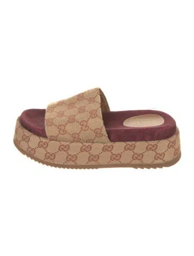 Pre-owned Gucci Gg Signature Canvas Slides In Neutrals