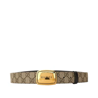 Gucci Gg Supreme Belt In Brown