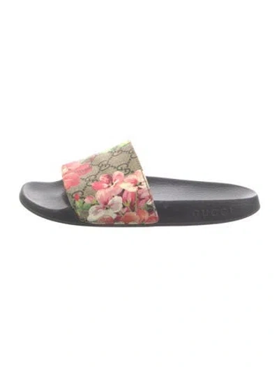 Pre-owned Gucci Gg Supreme Rubber Slides In Neutral
