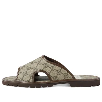 Gucci Gg Supreme Slide 'beige' In Multi