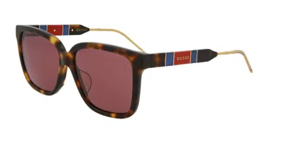 Pre-owned Gucci Gg0599sa-003 Women's Havana & Gold / Violet Tinted Sunglasses In Purple
