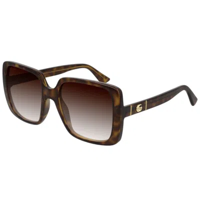 Gucci Gg0632s002 Havana Havana Brown