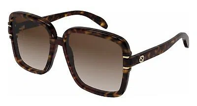 Pre-owned Gucci Gg1066s-002-59 Havana Havana Brown