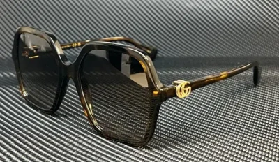 Pre-owned Gucci Gg1072s 002 Havana Brown Gradient Women's 56 Mm L Size Women's Sunglasses