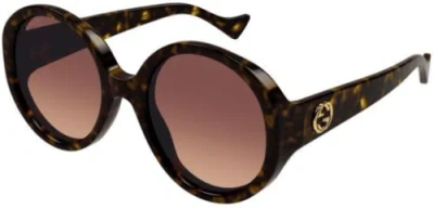 Pre-owned Gucci Gg1256s-002-56 Havana Havana Red
