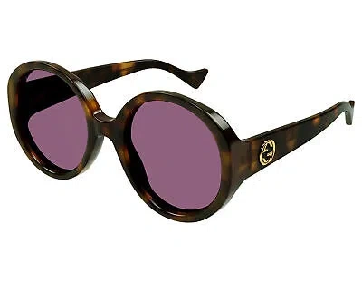 Pre-owned Gucci Gg1256s-003 Havana Havana Violet Sunglasses In Purple
