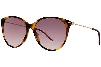 Pre-owned Gucci Gg1268s 002 Sunglasses Women's Havana/gold/red Lenses Oval Shape 58mm