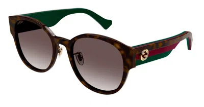 Pre-owned Gucci Gg1304sk 002 Havana/brown Gradient Oval Women's Sunglasses