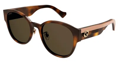 Pre-owned Gucci Gg1304sk 003 Havana/brown Oval Women's Sunglasses
