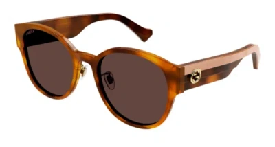 Pre-owned Gucci Gg1304sk-004 Havana Crystal Brown Sunglasses