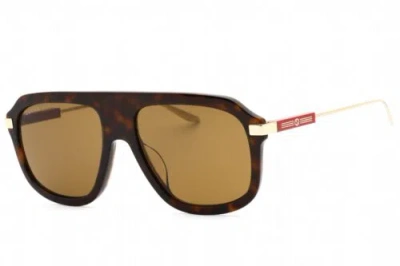 Pre-owned Gucci Gg1309s-006-57 Sunglasses Size 57mm 145mm 17mm Havana Men In Brown