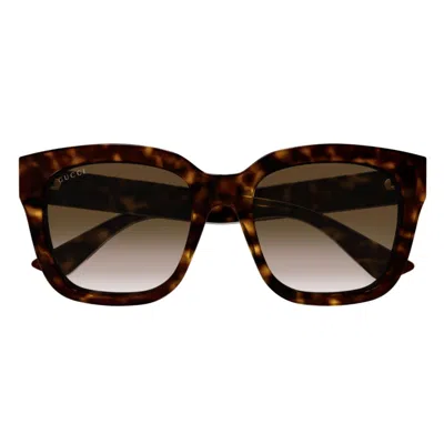 Gucci Gg1338s003 Havana Havana Brown