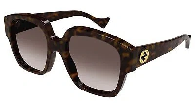 Pre-owned Gucci Gg1372s-002-56 Havana Havana Brown