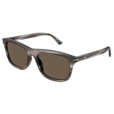 Gucci Gg1444s003 Havana Havana Brown In Neutral