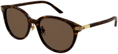 Pre-owned Gucci Gg1452sk-002-55 Havana Brown