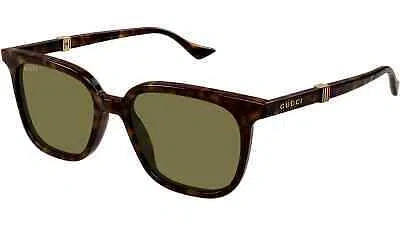 Pre-owned Gucci Gg1493s-002 Havana Green
