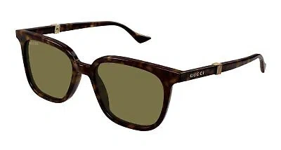 Pre-owned Gucci Gg1493s-002 Havana Sunglasses In Green