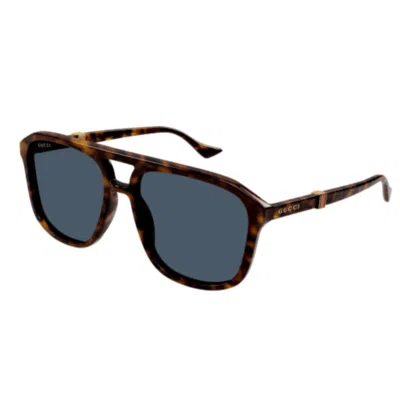 Gucci Gg1494s002 Havana Havana Blue