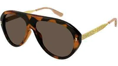 Pre-owned Gucci Gg1515s 002 Havana Brown