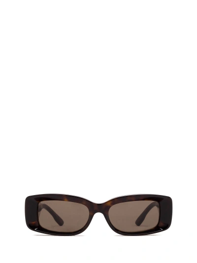Gucci Gg1528s Havana Sunglasses