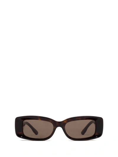 Gucci Gg1528s Havana Sunglasses In Brown