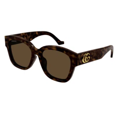 Gucci Gg1550sk002 Havana Havana Brown