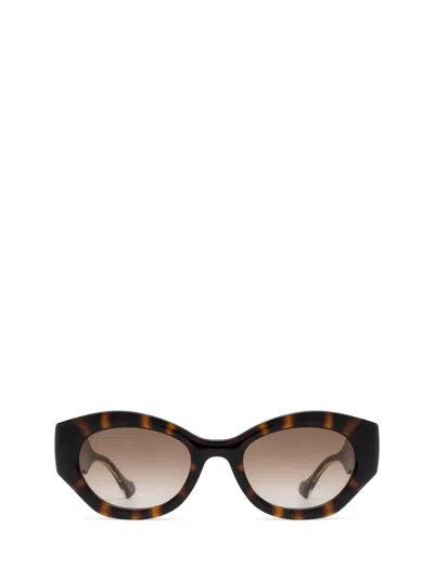 Gucci Gg1553s Havana Sunglasses