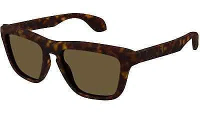 Pre-owned Gucci Gg1571s-002 Havana Brown