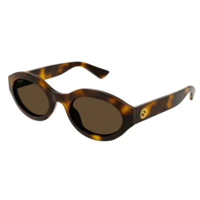 Gucci Gg1579s002 Havana Havana Brown