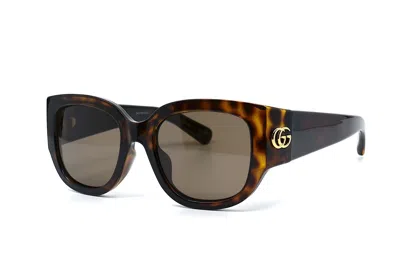 Pre-owned Gucci Gg1599sa 002 Havana Brown Women's Authentic Sunglasses 52-20-135