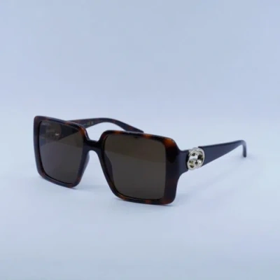 Pre-owned Gucci Gg1692s 002 Havana/brown 54-18-135 Sunglasses Authentic