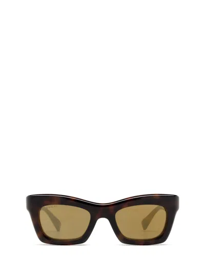 Gucci Gg1773s Havana Sunglasses In Marrone
