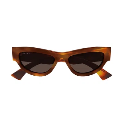 Gucci Gg1834s002 Havana Havana Brown
