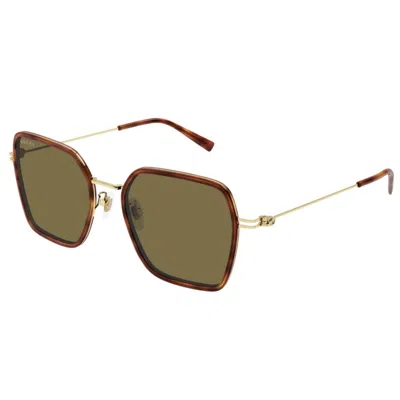 Gucci Gg1850sa002-havana-gold-brown
