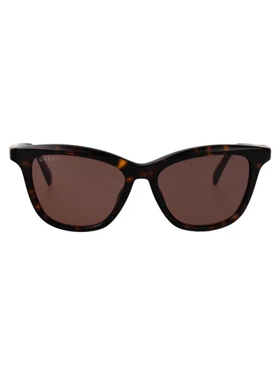 Gucci Gg2032s Havana Acetate Sunglasses In Multi
